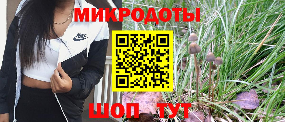 Галлюциногенные грибы Psilocybine cubensis Кропоткин