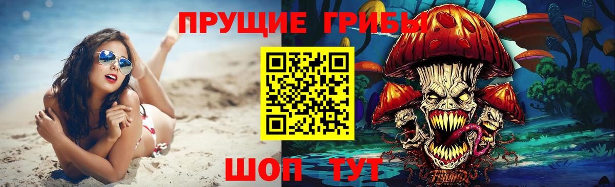 Кропоткин  Галлюциногенные грибы прущие грибы  Вход с VPN 